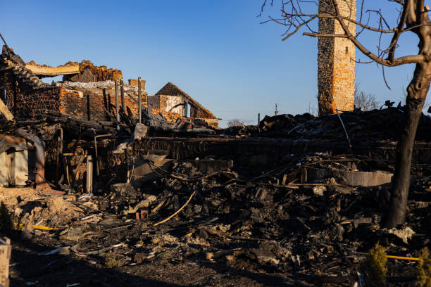 Reliable Content Restoration contractor in Myakka City, FL by Fire Damage Flint